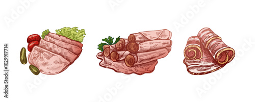 Hand-drawn colored vector sketch of  pork meat, ham slice, prosciutto vintage sketch. Butcher shop.