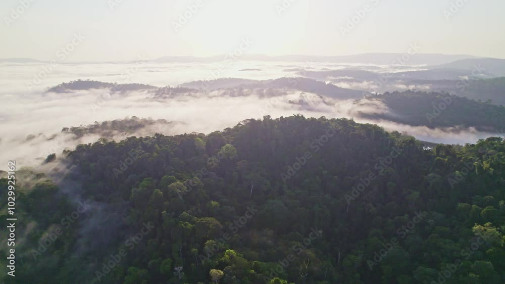 Fly over clouds, mountain tops, morning sun, thick forest Afobaka Brokopondo Suriname