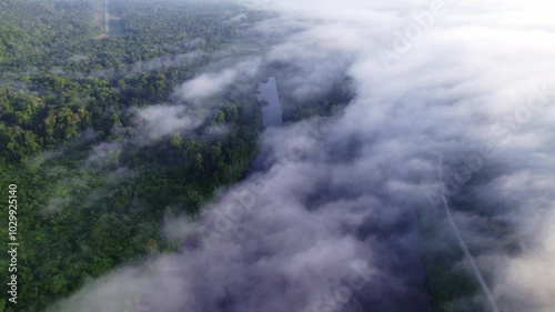 Fly over cloudy amazone river, thick lush green forest, Afobaka Brokopondo Suriname photo