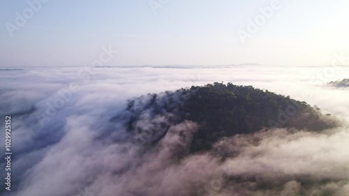 Fly over clouds, mountain top, thick lush green forest, Afobaka Brokopondo Suriname photo