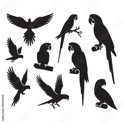 Set of parrot silhouette vector on white background