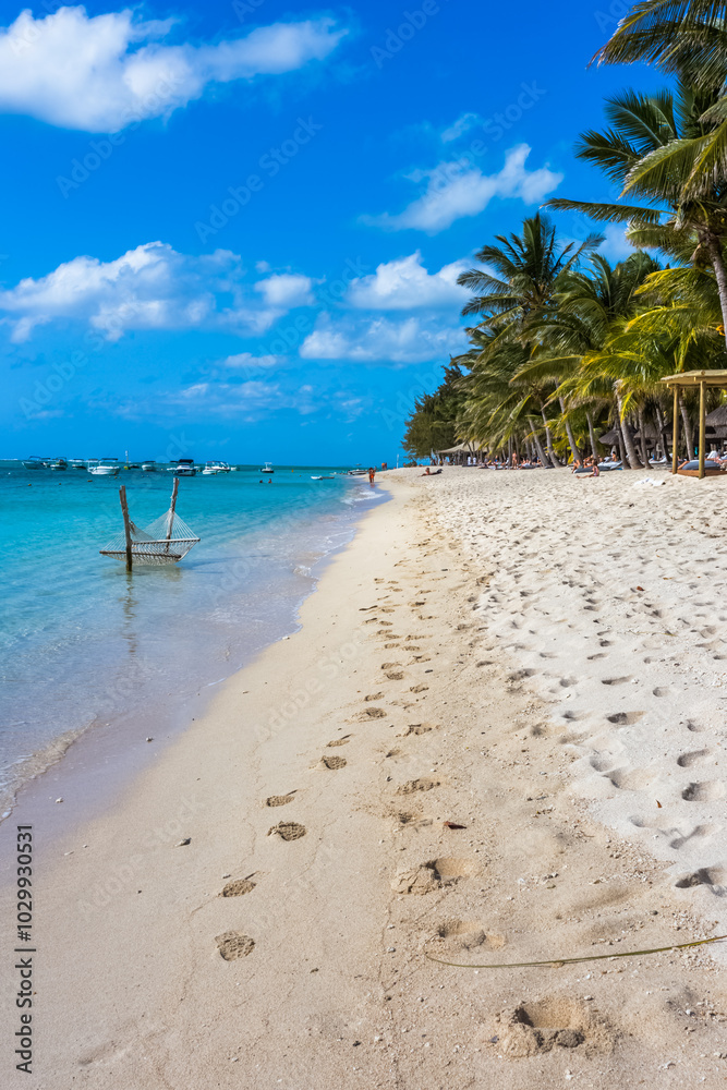 Fototapeta premium Hammock on beach in Mauritius 