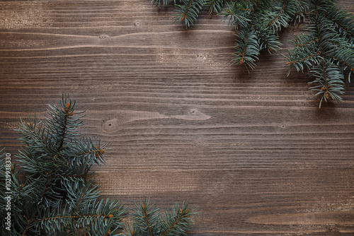 Beautiful fir branches on b...