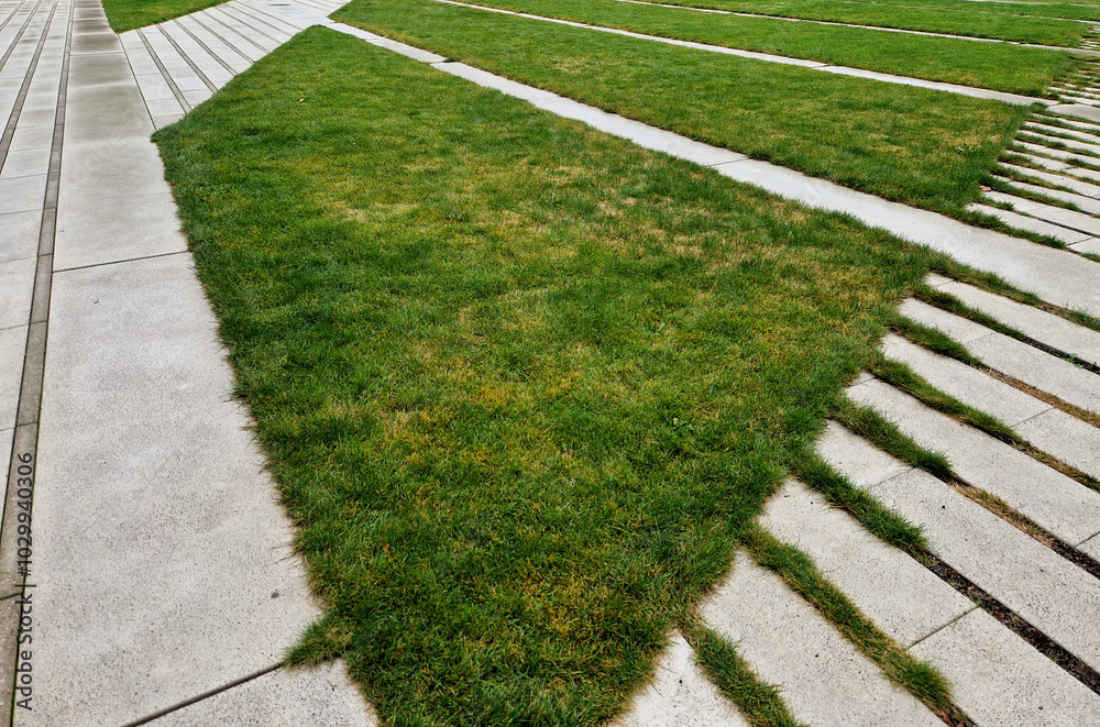 Stem rust, also known as cereal rust, black rust, red rust or red dust ...