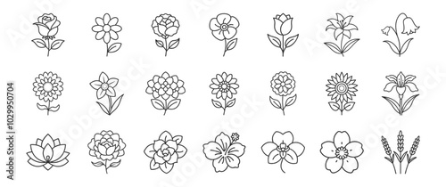 Flowers line icon set. Vector pictograms of rose, daisy, tulip, sunflower, various flower species - lily, orchid, hydrangea, lavender, thin linear illustration.