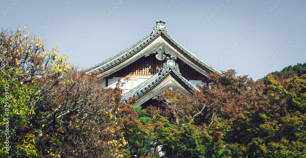 The Harmony of Nature in Kyoto’s Temple Gardens The Harmony of Nature in Kyoto’s Temple Gardens