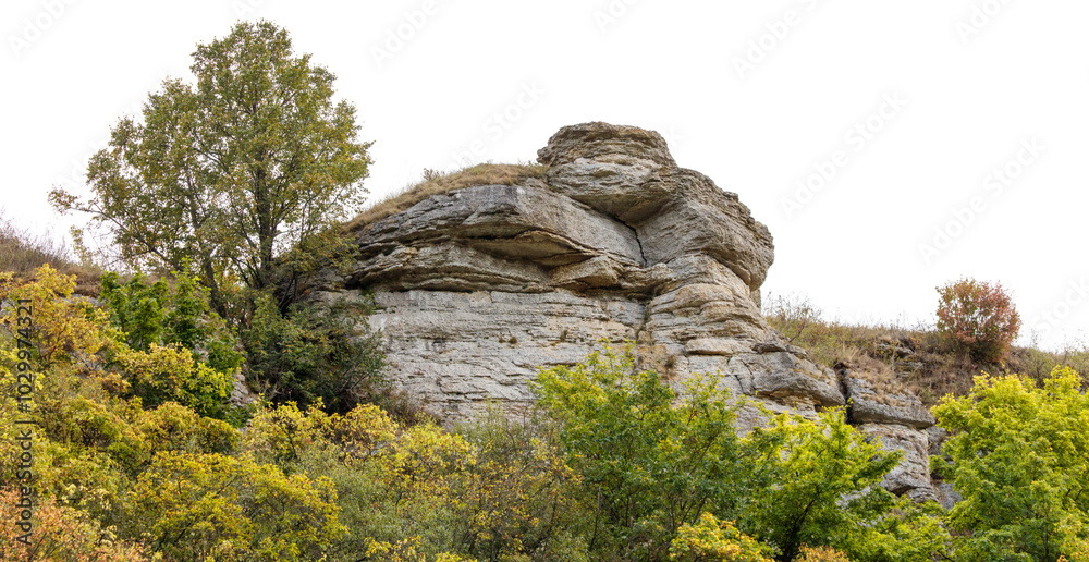 A rocky hillside with a tree on it A rocky hillside with a tree on it