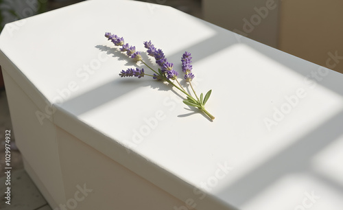 Coffin with lavender flower resting on it, creating a peaceful and serene atmosphere in sunlight
