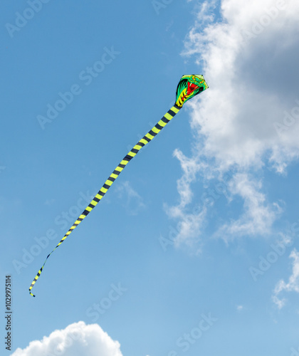 A green and yellow kite with a snake on it is flying in the sky photo