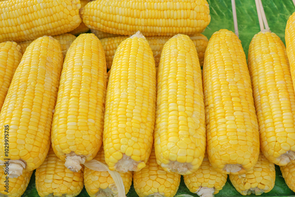 Fresh boiled corn, lying on a palm leaf. Photos without people