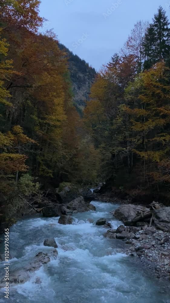 Autumn river with mountain background and yellow and orange leaves - 4k video Autumn river with mountain background and yellow and orange leaves - 4k video