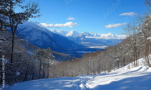 Wallpaper Mural View of snow-covered Torontodigital.ca