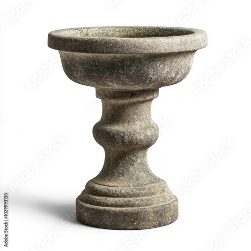 Bird Bath Isolated