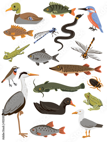 Vector drawing set of fishes, water birds, amphibians and insects isolated at white background, hand drawn vector illustration