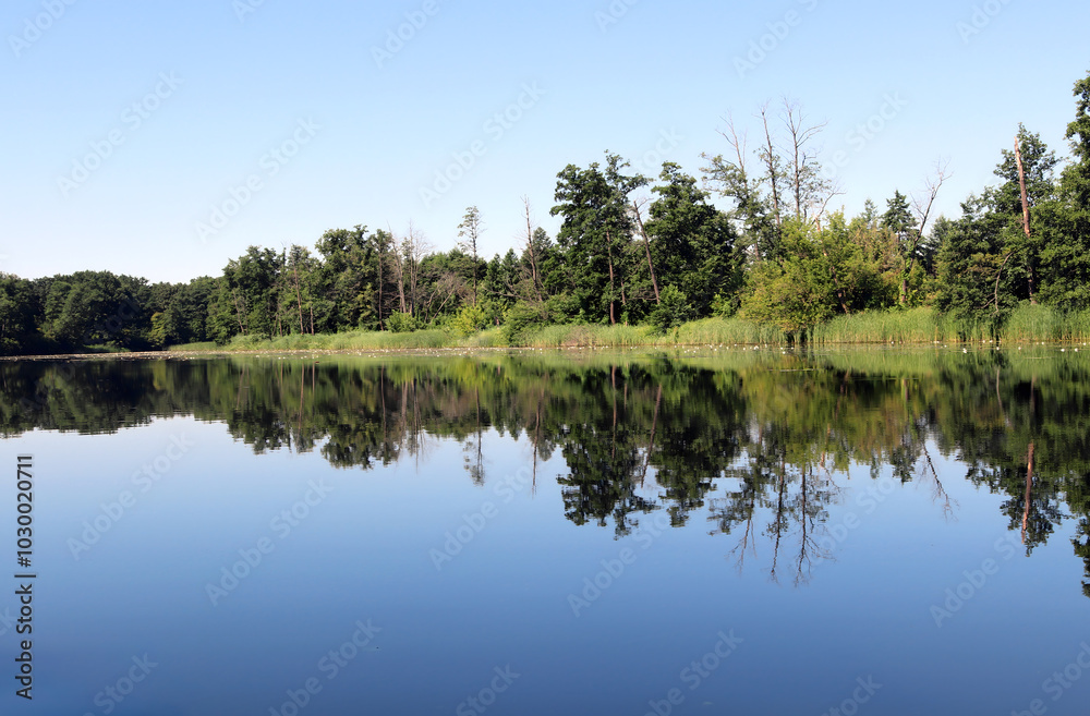 Beautiful serene river reflecting lush greenery under clear blue sky at midday