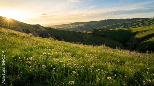 Rolling Green Hills with Wildflowers at Sunset