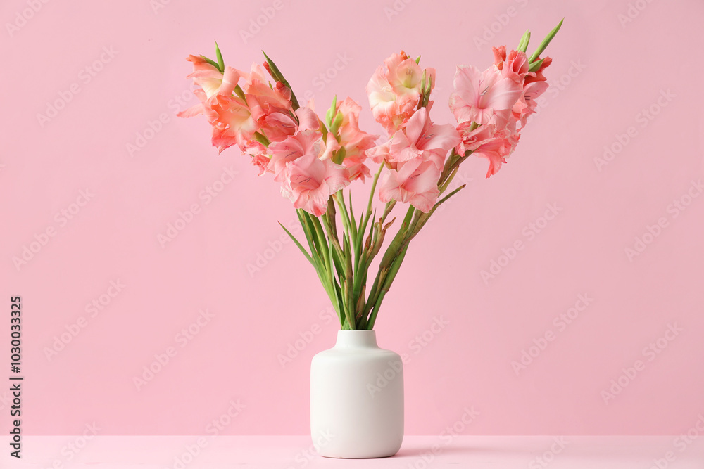 Fototapeta premium Vase with bouquet of beautiful gladiolus flowers on pink background