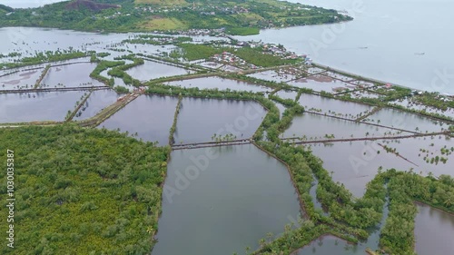 Shrimp farms and mangroves by the coast of surigao city in the philippines, aerial view photo