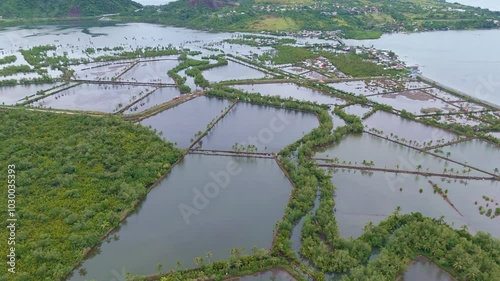 Shrimp farms in sabang, surigao city, philippines with surrounding greenery, aerial view photo