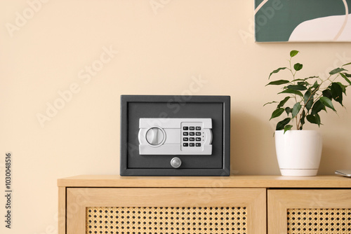 Modern safe and houseplant ...