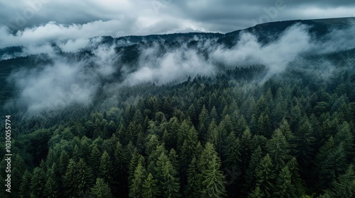 Aerial slow pan view of dark mountain forest with moody white clouds on top f trees in Vosges, France 4K.