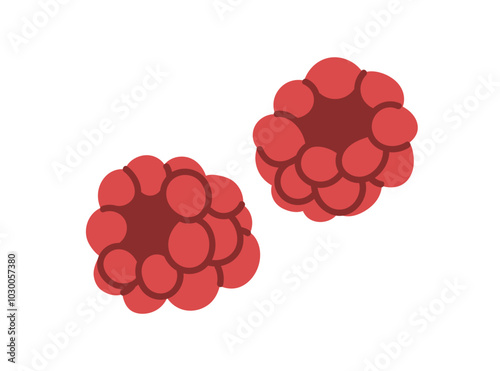 Raspberries, fresh ripe red berries. Natural food, organic antioxidant, vitamins. Sweet healthy tasty fruits. Summer eating. Flat graphic vector illustration isolated on white background