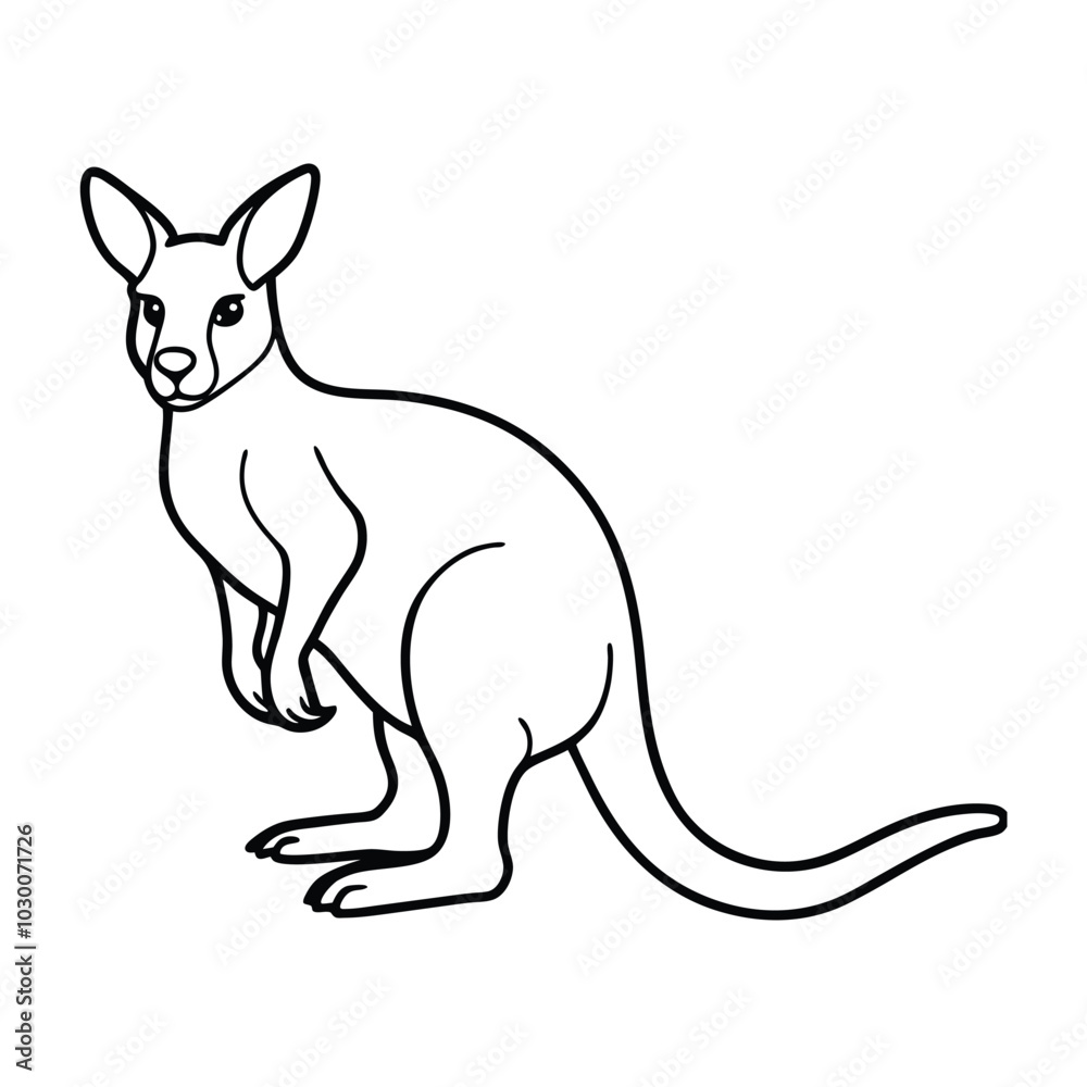 kangaroo vector illustration kangaroo vector illustration