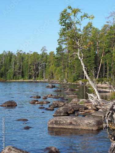 Stunning landscape of Karelia, Russia. Huge stones in the water, pine forest.