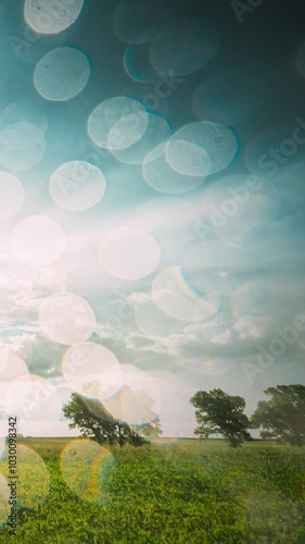 Rain Rainy Clouds Above Countryside Rural Field Landscape With Young Green Wheat Sprouts In Summer Cloudy Sunset Evening. Heavy Clouds Above Agricultural Field. Young Wheat Shoots time-lapse photo