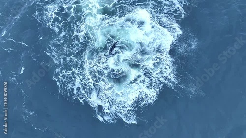 Whale Breaching and Tail Splash Aerial Footage - Bird's Eye View