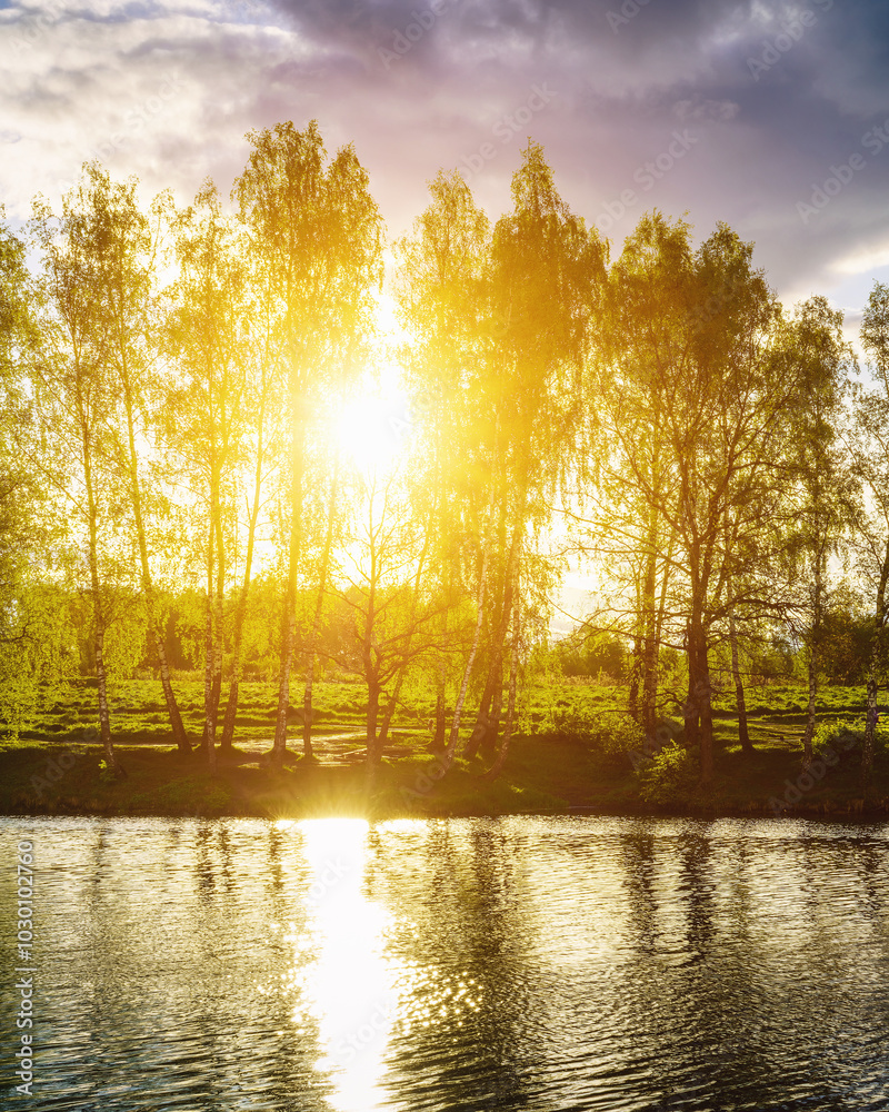 Φωτογραφία Sunrise or sunset on a pond with birch trees growing along the banks and the sky reflected in the water in summer