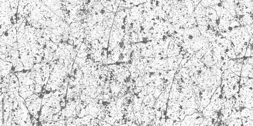 Abstract white and black texture of a grunge concrete dust wall with cracks and scratches background. distressed grunge concrete wall texture. abstract vintage of old surface texture background. Abstract white and black texture of a grunge concrete dust wall with cracks and scratches background. distressed grunge concrete wall texture. abstract vintage of old surface texture background.