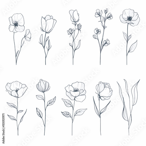 hand drawn ornamental flowers and wildflowers photo