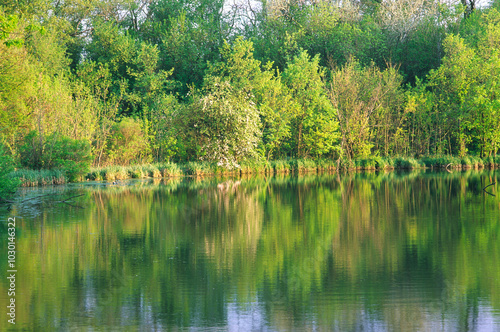 Ponds and forest in a park recreation area.