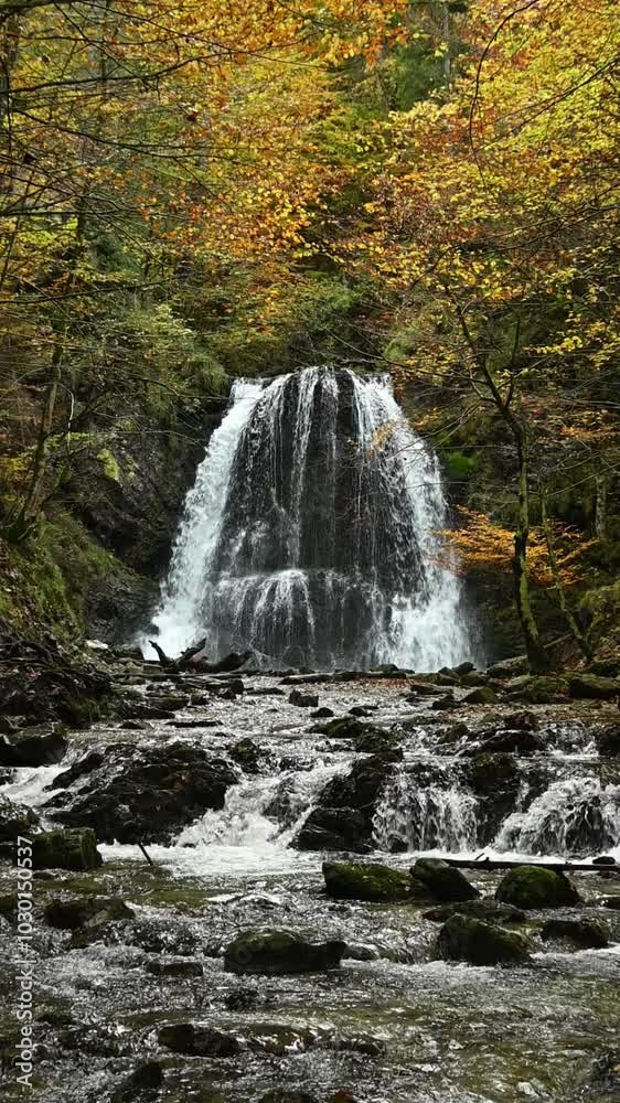 Vertical shot of a twofold waterfall in an autunm forest, colorful leaves, slow motion Vertical shot of a twofold waterfall in an autunm forest, colorful leaves, slow motion
