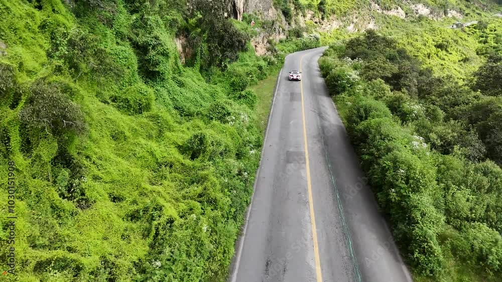 Carrera panamericana