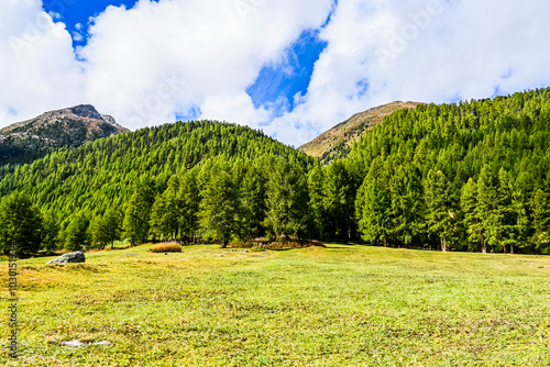 Livigno, Forcola di Livigno, Passo Forcola, Passstrasse,  Bergpass, Alpen, Monte Vago, Alpe Vago, Val di Livigno, Dorf, Wanderweg,  Fluss, Spöl, Berninagruppe, Herbst, Herbstfarben, Zoll, Italien photo