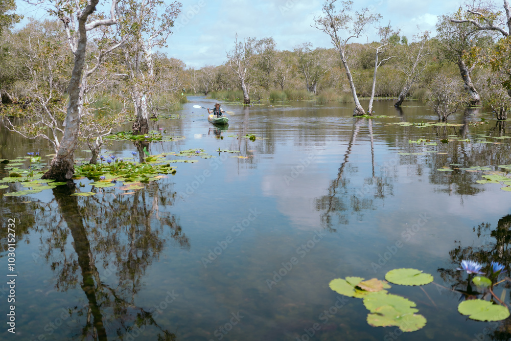 Fototapeta premium The ferryman takes traveler on a boat tour along the canals in the mangrove forest. This is an eco tourism area