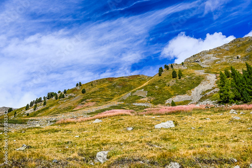 Livigno, Forcola di Livigno, Passo Forcola, Passstrasse,  Bergpass, Alpen, Monte Vago, Alpe Vago, Val di Livigno, Dorf, Wanderweg,  Fluss, Spöl, Berninagruppe, Herbst, Herbstfarben, Zoll, Italien photo