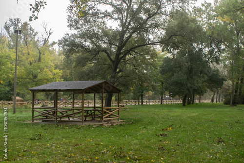 Bosque en un día con niebla en otoño con mesa comedor de picnic de Burgos, España