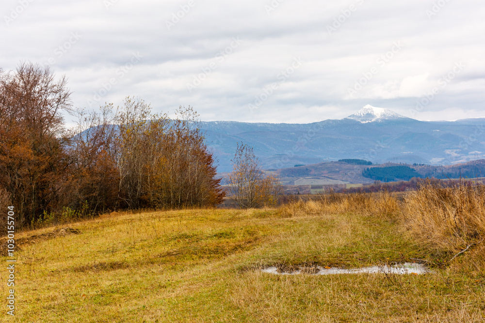 mountainous landscape in autumn. scenic view. snow capped peak of pikui mountain in the distance. trees on the grassy slope. beautiful scenery of ukraine in fall season mountainous landscape in autumn. scenic view. snow capped peak of pikui mountain in the distance. trees on the grassy slope. beautiful scenery of ukraine in fall season