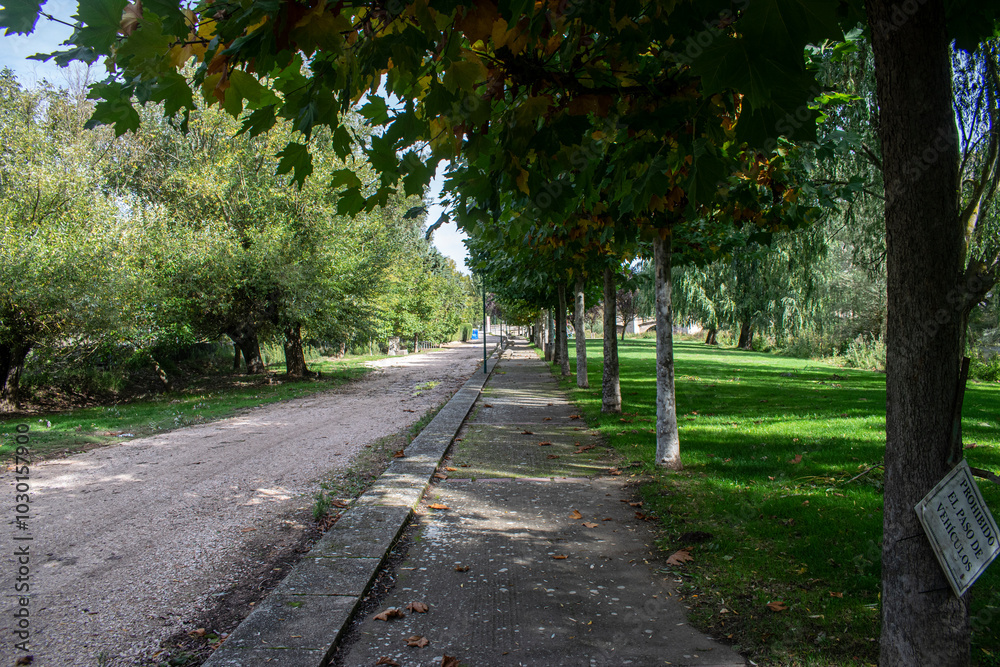 Parque y jardines verdes en un día soleado situado en Pampliega (Burgos), España Parque y jardines verdes en un día soleado situado en Pampliega (Burgos), España
