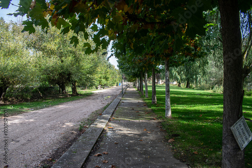 Parque y jardines verdes en un día soleado situado en Pampliega (Burgos), España photo