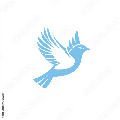 bird , bird vector logo template photo