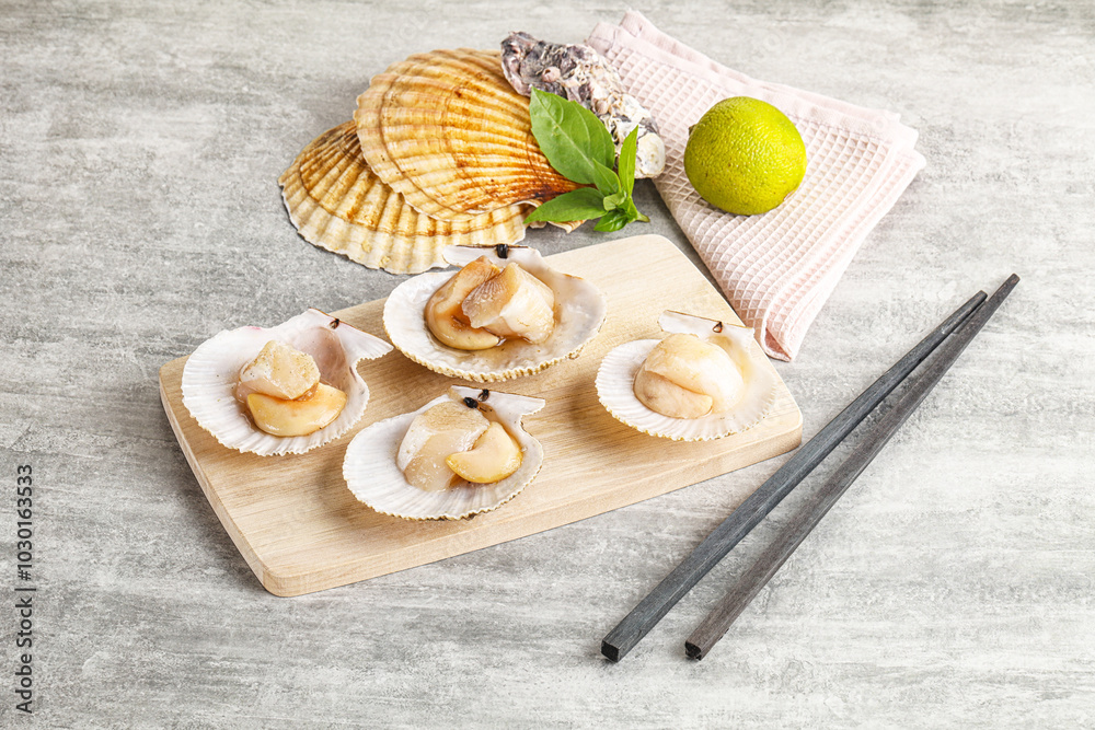 Raw natural scallop in its shell Raw natural scallop in its shell