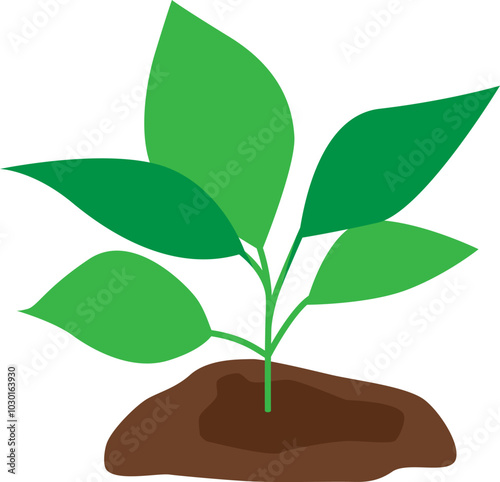 A green plant planted in the soil. Vector illustration with transparent background.	
