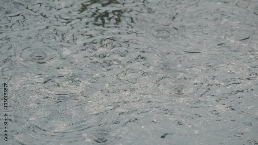 Rain on floor wall cement street, effect fall rainy absatract nature spash on grey concrete, blur drop water background, environment ecosystem or broken heart concept. Rain on floor wall cement street, effect fall rainy absatract nature spash on grey concrete, blur drop water background, environment ecosystem or broken heart concept.