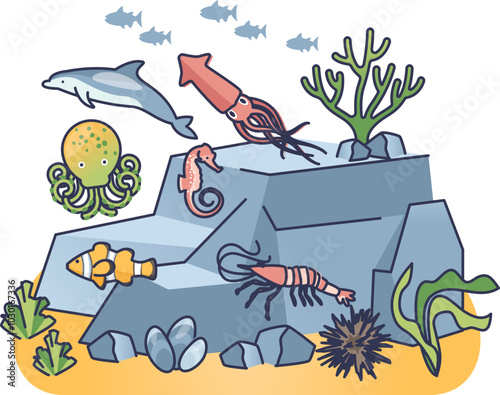 Dolphin, squid, seahorse, and fish around a coral reef symbolize ocean diversity.
