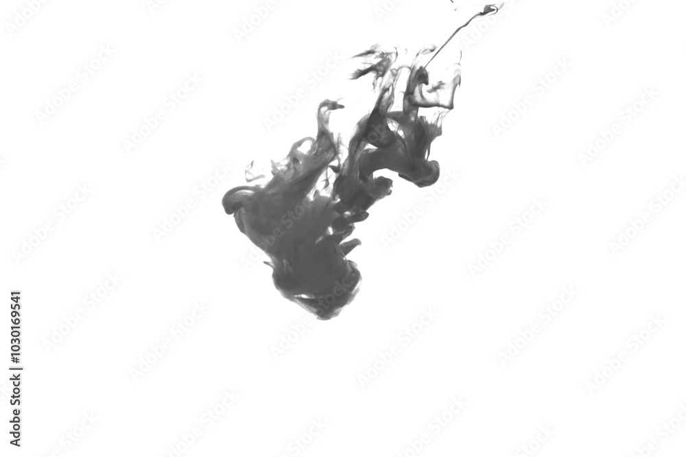 Obraz premium Black color-ink dye melt on white background,Abstract smoke pattern,Colored liquid dye,Splash paint