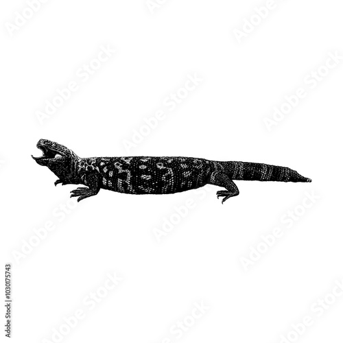 Gila Monster hand drawing vector isolated on background.